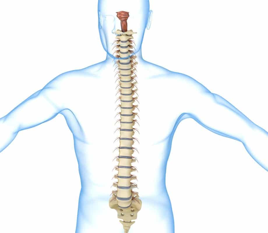Presurgery & Behavioral Medicine Evaluations (e.g., bariatric; spinal cord stimulator & other
